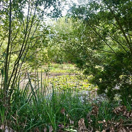 Eikenburg B&B Eindhoven Eksteriør billede