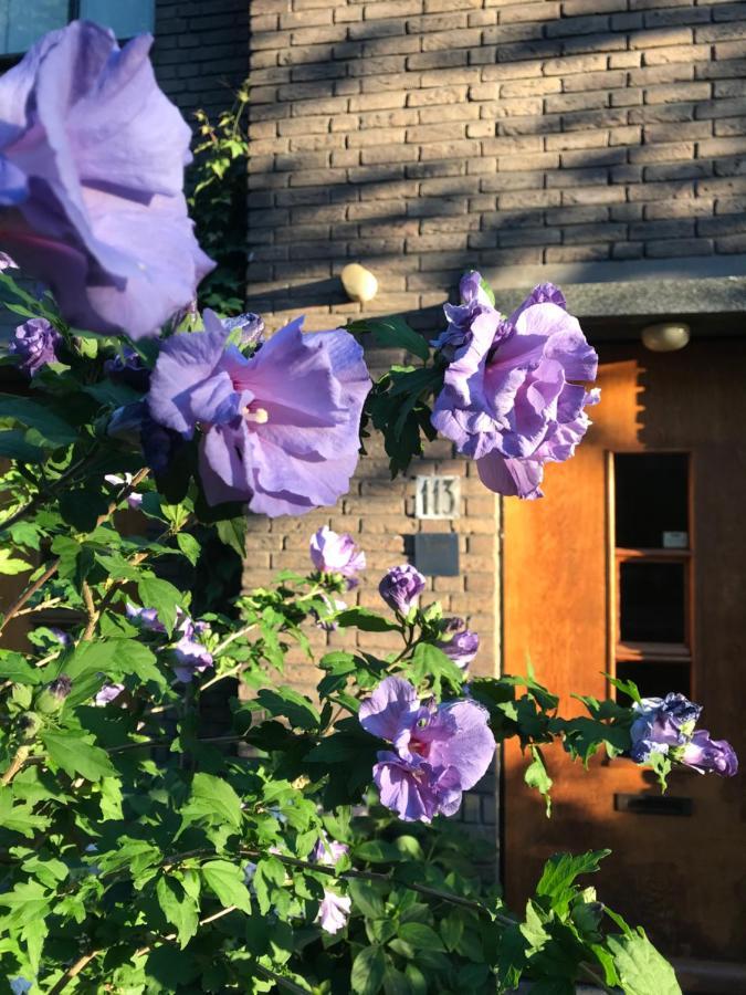 Eikenburg B&B Eindhoven Eksteriør billede