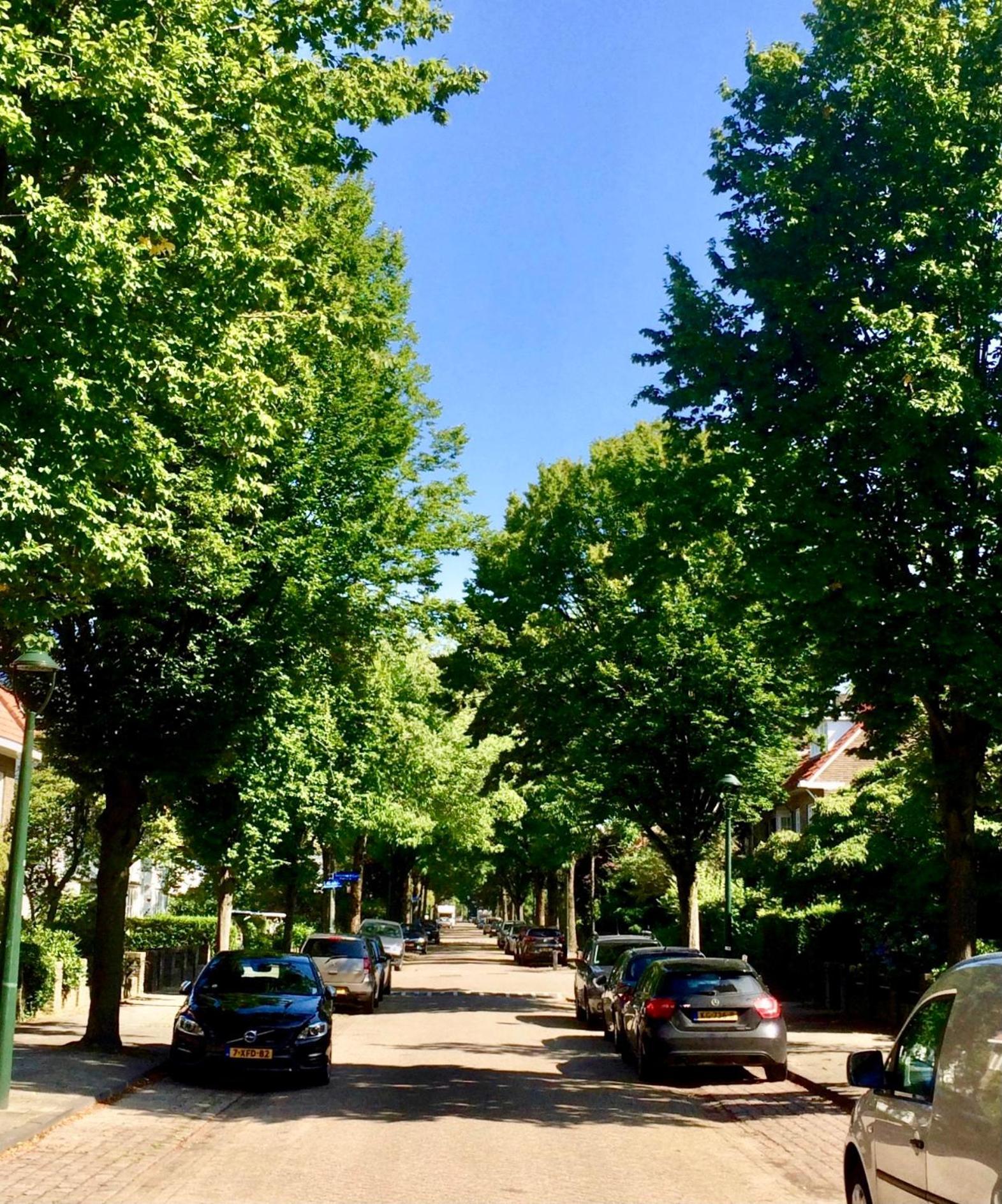 Eikenburg B&B Eindhoven Eksteriør billede